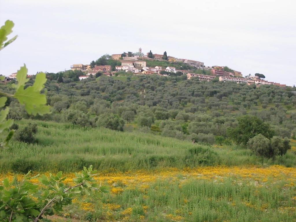 Agriturismo Vigna Mai Magliano in Toscana Exterior foto